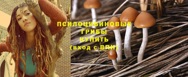 мдпв Лихославль