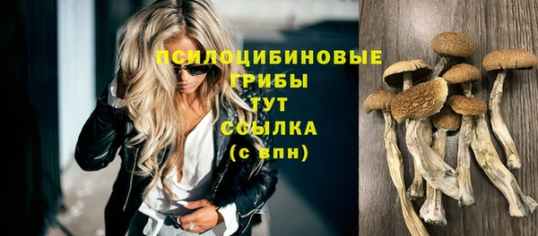бошки Лиски