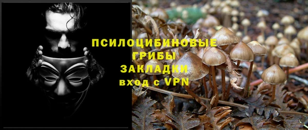 Альфа ПВП Липки