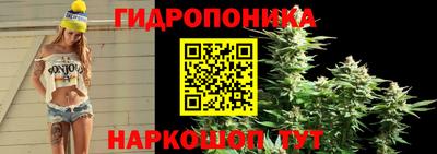 spice Апрелевка