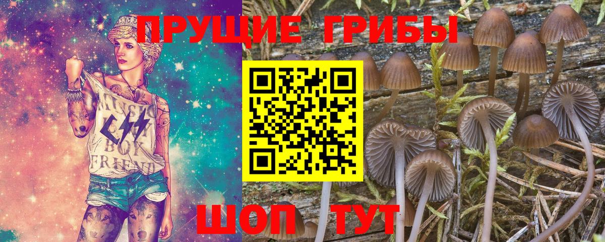 Дюртюли  Псилоцибиновые грибы прущие грибы  Вход с VPN 