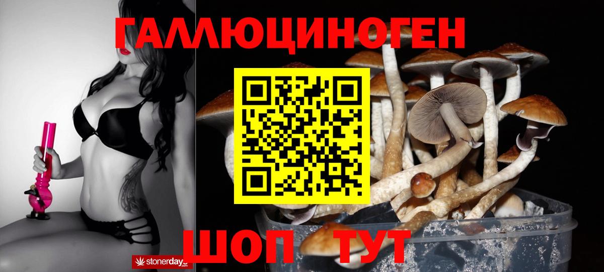 Псилоцибиновые грибы ЛСД Дюртюли