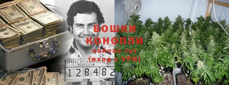 где купить наркотик  Дюртюли  Марихуана Bruce Banner 